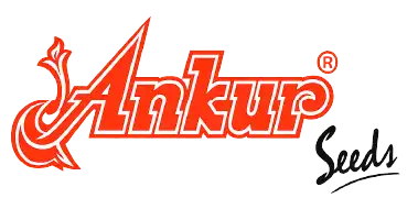 Ankur logo