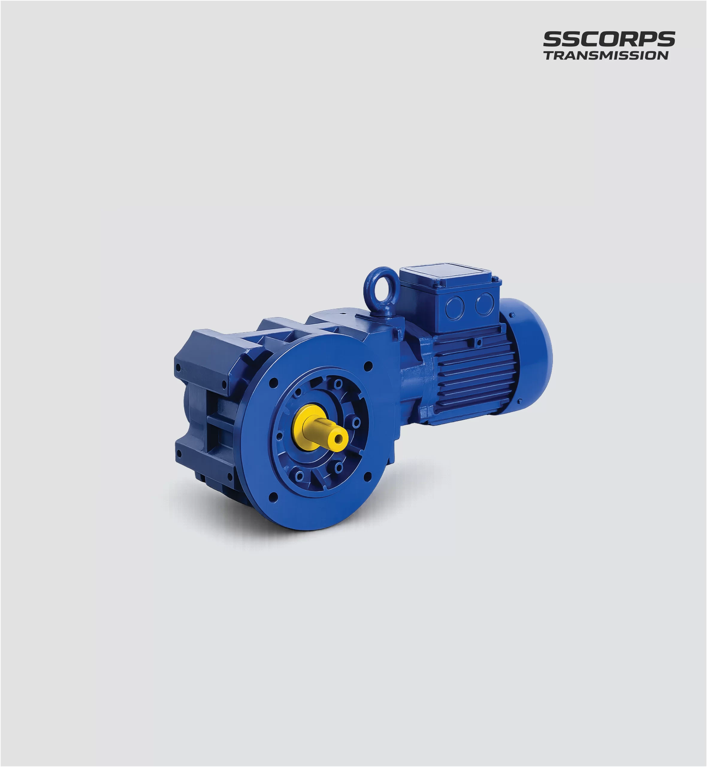 Bevel Helical Gear Motor