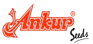 Ankur